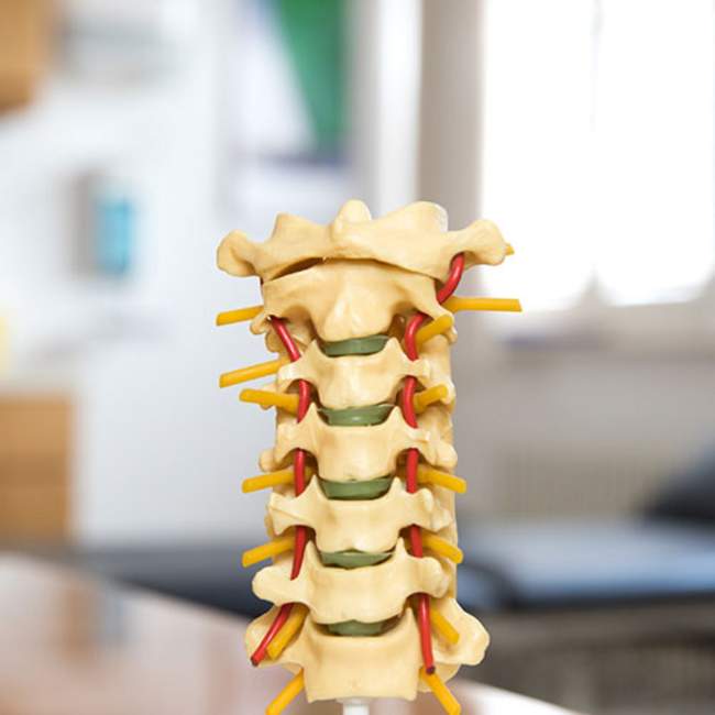 Orthopädie Calw - Chirotherapie Orthopädie Calw - Chirotherapie